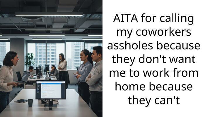 AITA for calling my coworkers a*sholes because they don’t want me to work from home because they can’t