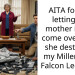 AITA for not letting my mother in law come over after she destroyed my Millennium Falcon Lego set?