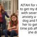 AITAH for refusing to get my daughter with severe social anxiety a service dog and forcing her to get a part time job after what she did?