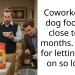 Coworker ate dog food for close to six months. AITAH for letting it go on so long?