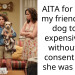 AITA for taking my friend’s sick dog to an expensive vet without her consent while she was away?