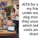 AITA for walking my friends’ under-exercised dog more than they usually do – which led to vet costs and now drama?