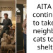 AITA for continuing to take my neighbor’s cats to the shelter?