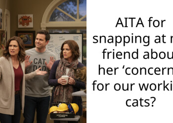 AITA for snapping at my friend about her ‘concerns’ for our working cats?