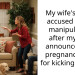 My wife’s sister accused me of manipulation after my wife announced her pregnancy, aita for kicking her out