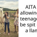 AITA for allowing two teenagers to be spit on by a llama?
