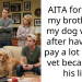 Redditor Fires Brother From Dog-Walking Duties Following Costly Vet Visits Stemming From A Needless Lie