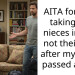 Woman’s Story Of How She Took In Her Nieces And Not Their Dad After Her Sister Died Leaves Redditors With More Questions