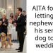 AITA for not letting my nephew bring his service dog to my wedding?