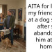Redditor Leaves Dog She Was Petsitting At Shelter Because Owners Were One Month Late To Pick It Up, Gets Threatened With Lawsuit
