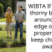 WIBTA If I plant thorny bushes around the edge of my property to keep children away