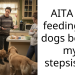 AITA for feeding my dogs before my stepsister?