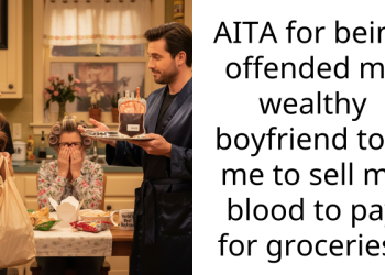 AITA for being offended my wealthy boyfriend told me to sell my blood to pay for groceries?