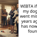 WIBTA if I kept my dog that went missing 3 years ago but has now been found?