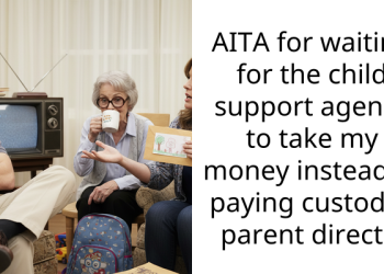 AITA for waiting for the child support agency to take my money instead of paying custodial parent directly