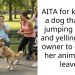AITA for kneeing a dog that was jumping on me and yelling at the owner to control her animal and leave?