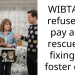 WIBTA If I refused to pay a cat rescue for fixing my foster cats?