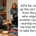 AITA for not giving up the cat I adopted from the person who migrated to another country and recently messaged me that he’s willing to take the cat back?