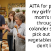 AITA for pouring my girlfriend’s mom’s soup through a colander so I can pick out some vegetables I really don’t like?