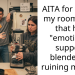 AITA for telling my roommate that her “emotional support blender” is ruining my life?