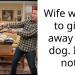 Wife wants to give away our dog. I do not.