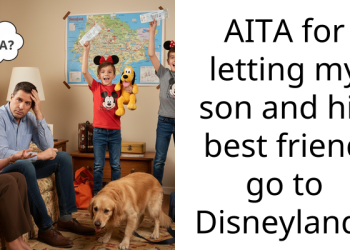 AITA for letting my son and his best friend go to Disneyland?