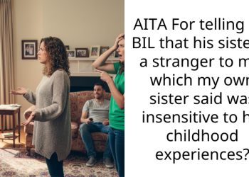 AITA For telling my BIL that his sister is a stranger to me, which my own sister said was insensitive to his childhood experiences?