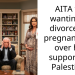 AITA for wanting to divorce my pregnant wife over her support for Palestine?