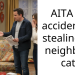 AITA for accidentally stealing my neighbor’s cat?