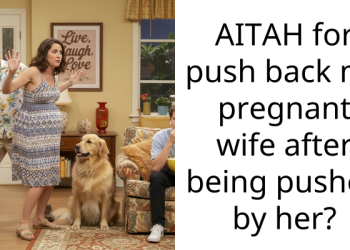 AITAH for push back my pregnant wife after being pushed by her?