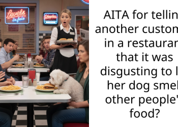 AITA for telling another customer in a restaurant that it was disgusting to let her dog smell other people’s food?