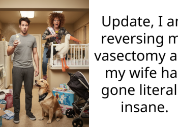 Update, I am reversing my vasectomy and my wife has gone literally insane.