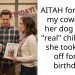 AITAH for telling my coworker her dog isn’t a “real” child after she took time off for its birthday?