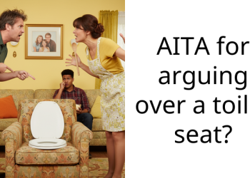 AITA for arguing over a toilet seat?