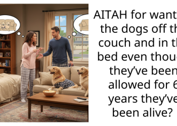 AITAH for wanting the dogs off the couch and in the bed even though they’ve been allowed for 6 years they’ve been alive?