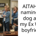 AITAH for naming my dog after my Ex Wifes boyfriend?