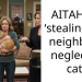 AITAH for ‘stealing’ my neighbor’s neglected cat?