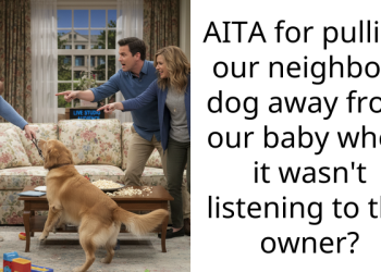 AITA for pulling our neighbors dog away from our baby when it wasn’t listening to the owner?