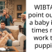 WIBTA if I point out that a baby is 100 times more work than puppies?