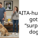 AITA-husband got a “surprise dog”.