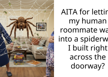 AITA for letting my human roommate walk into a spiderweb I built right across the doorway?