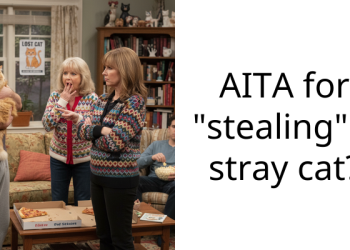 AITA for “stealing” a stray cat?