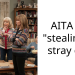 AITA for “stealing” a stray cat?