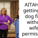 AITAH for getting my dog fixed without wife’s permission?