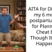 AITA for Divorcing my 6 months postpartum Wife for Planning to Cheat Even Though It Never Happened?