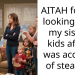 AITAH for not looking after my sisters kids after I was accused of stealing?