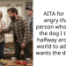 AITA for being angry that the person who rescued the dog I traveled halfway around the world to adopt now wants the dog back?