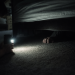 I Kept Hearing Something Under My Bed… Then I Finally Looked And Wish I Didn’t