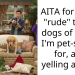 Pet Sitter Stages Daring Rebellion Against Client’s Bizarre ‘Canine Affection’ Demand