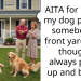 Is It Rude To Let Your Dog P**p In A Neighbors Yard, Even If You Bag It?